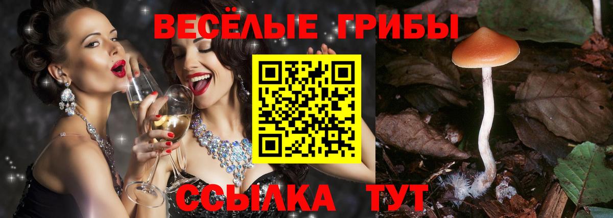 Галлюциногенные грибы мухоморы  Вход с VPN  Котлас  Галлюциногенные грибы Psilocybe 