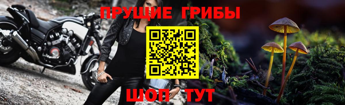 Псилоцибиновые грибы MAGIC MUSHROOMS Котлас